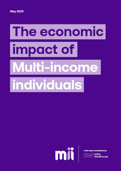 Multi-Income Individuals (Miis) Report (x 10 copies)