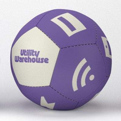 National League Partnership Mini Football
